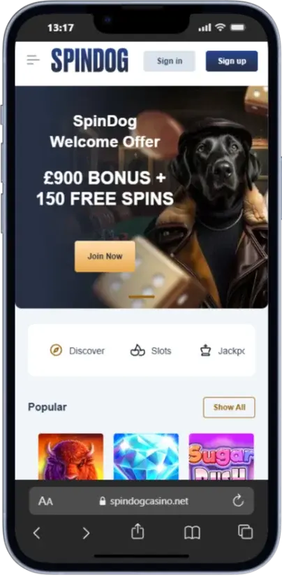 Spin Dog App on iOS Devices