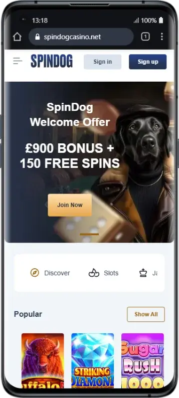 Download Spindog Casino App on Android