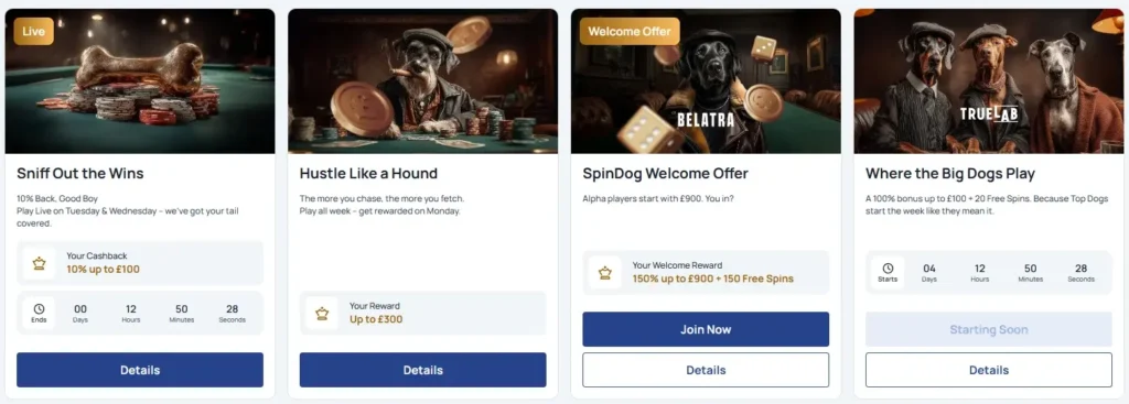 All Active Spindog Casino Bonus Offers