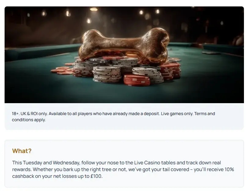 Spindog Cashback Bonus